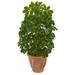 Nearly Natural Baby Schefflera Artificial Plant in Terra Cotta Planter (Real Touch)