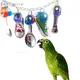 Parrot Bird Bite Toy Stainless Steel Spoon Scoop Sneakers Hanging Shoe String Toys