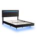 Full Floating Bed Frame Platform LED Bed Frame w/ USB Charging, Black