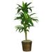 Silk Plant Nearly Natural 48 Dracaena w/Basket Silk Plant (Real Touch)