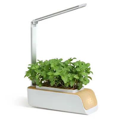 Hydrokultur Wachsen System, Innen Kraut Garten Starter-Kit mit Led Wachsen Licht, smart Garten Pflanzer für Home Küche, Automatische