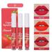 Pjtewawe Women Fashion Makeup Lip Glosses 3 Pack Fruit Lip Gloss Set Box With Velvet And Non Stick Cup Lip Glaze Liquid Lipstick 2.5ml*3 D