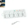 5 pezzi P1 punte per ablatore dentale ad ultrasuoni con strumento dentale per sbiancamento dentale
