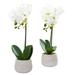 Silk Plant Nearly Natural Phalaenopsis Orchid Artificial Arrangement (Set of 2)
