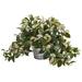 Silk Plant Nearly Natural Hoya Artificial Plant in Vintage Hanging Metal Planter