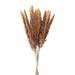 SIEYIO Reed Natural Dry Branches Dried Flower Real Flower Plant Stems Water Evaporation