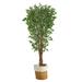 Silk Plant Nearly Natural 70 â‚¬Â� Variegated Ficus Artificial Tree in Handmade Natural Jute and Cotton Planter UV Resistant (Indoor/Outdoor)