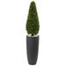 Silk Plant Nearly Natural 50 Boxwood Topiary with Gray Cylindrical Planter UV Resistant (Indoor/Outdoor)