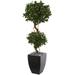 Silk Plant Nearly Natural 4.5 Sweet Bay Artificial Double Topiary Tree in Black Wash Planter