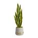 Silk Plant Nearly Natural 34 Sansevieria Artificial Plant in Stoneware Planter with Gold Trimming