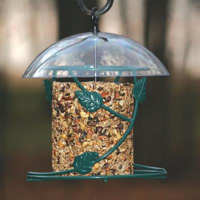 Birds Choice Hanging Seed Cylinder Bird Feeder Plastic | 12.5 H x 10.5 W x 10.5 D in | Wayfair SCF-HANGING