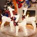 The Holiday Aisle® 3-piece Led Lighted Christmas Deer Metal in White | 57 H x 26 W x 12 D in | Wayfair 7B7198F764E749A48D5AA37C31906AB3