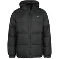 Dickies Winter Jacket - Waldenburg hooded jacket - S to XXL - for Men - black