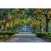 Wade Logan® Spanish Moss Savannah Georgia - Photograph Paper in White | 24 H x 36 W x 1.25 D in | Wayfair 13CDC5F9DB194050A9CC8FD2CEB00DB2