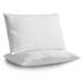 Alwyn Home Barcomb Pillow Polyester/Polyfill | 20 H x 14.5 W x 7 D in | Wayfair DDDE54BE97744E5E920DC6455E3FDCD4
