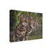 Winston Porter Pet Portrait Of Albus & Boo The Bengal Cats On Canvas by Steve Crockett Canvas Art Metal | 24 H x 32 W x 2 D in | Wayfair