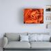 Ebern Designs Rose in Orange by Ant Smith - Unframed Print on Canvas Metal in Brown/White | 24 H x 32 W x 2 D in | Wayfair