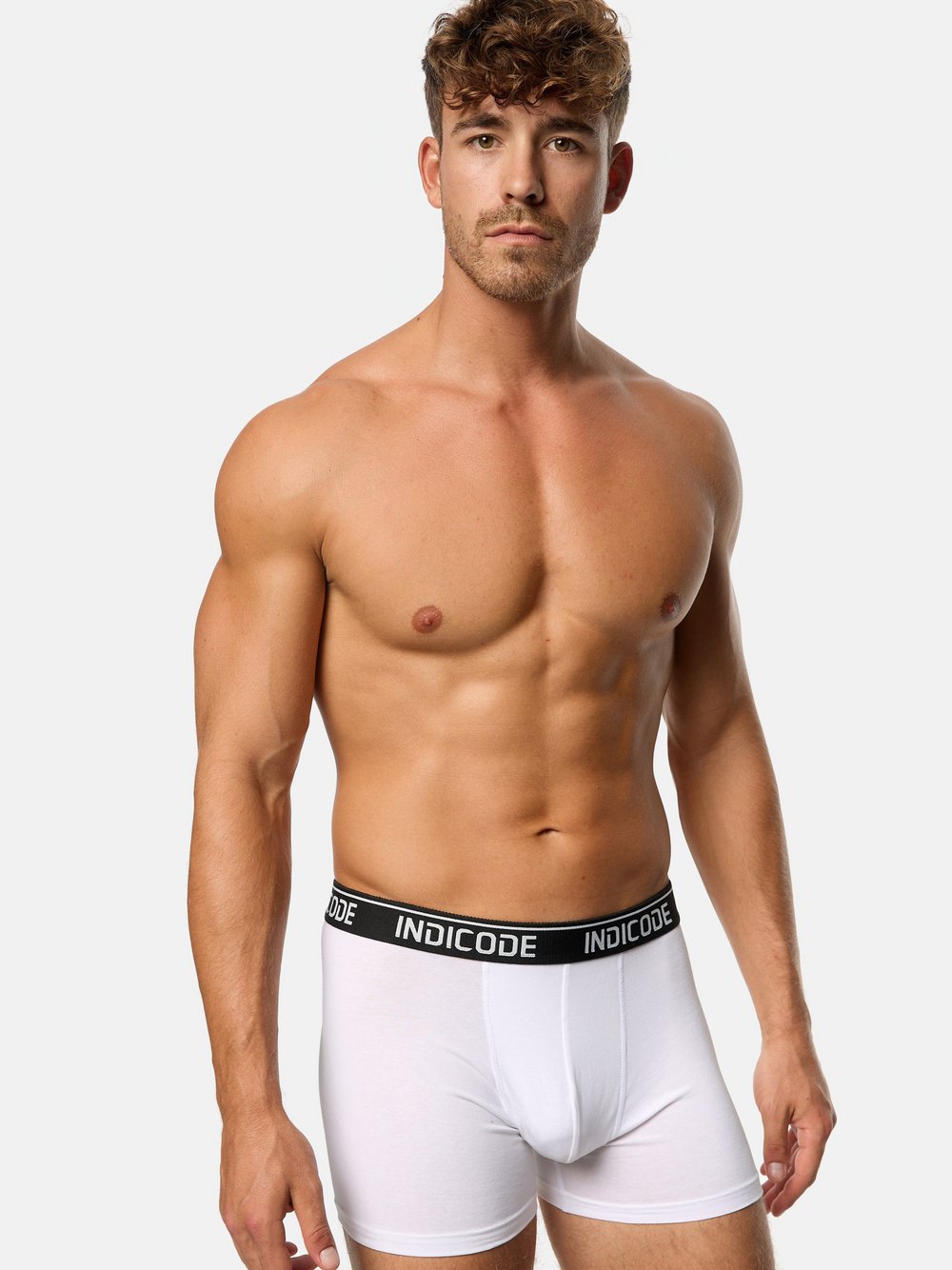 Indicode Boxershorts Herren beige, XXL Image