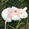 Cartoon Print Cat Rabbit Harness and Leash Set Bunny Rabbits Pet Accessories Bunnies Vest Clothes