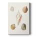 Pastel Knorr Shells IX Premium Gallery Wrapped Canvas - Ready to Hang