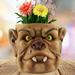 Hanzidakd Flower Pots Face Planter Pots Head Planter With Hole Man Face Flower Pot Head Planter Succulent Planters For Indoor