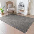 Evitany Modern Grey Rugs for Living Room Washable Short Pile Carpet Anti-Slip Traffic Rug Soft Chenille Shaggy Area Rugs Waterproof Rugs for Living Room Bedroom,Dark Grey,120x160 cm