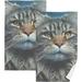 Coolnut Portrait of Long Hair Cat Bathroom Towels 2 Pieces 16Ã—28 inches Cotton Bath Towel Water Absorbent Lightweight Quickdry Towels for Bathroom Ktichen Travel Gym