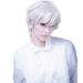 XIAQUJ Adult Men Guy Wig Short Boy Band Wig White Short for Carnivals Party Wigs for Women White