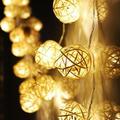 Winter Warm Price Stiwee Home Decor String Light 20 Heads Rattan Balls Battery Box Holiday Lights String LED Holiday Decoration Lights 2.5m Warm White 8.20 in