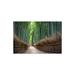 Millwood Pines Arashiyama Bamboo Forest, Kyoto, Japan by Jan Becke Plastic/Acrylic in Green | 16 H x 24 W x 0.25 D in | Wayfair