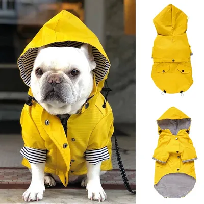 Mode Französisch Bulldogge Haustier Regenmantel für kleine mittelgroße Hunde wasserdichte Hündchen Image
