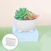 Hxoliqit Thickening Creative Cute Dinosaur Silicone Flower Pot Office Desktop Pot Succulent Flower Pot Decoration Mini Flower Pot Flower Pots Cute Flower Pots Garden Decor Garden Supplies