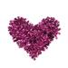 800PC 10MM Five-petal Flower Sequins PVC Clothing Decor Sequin Jewelry Accessories Clothes Patches for Hat Pants Coat Decoration (Rosy Purple Color)