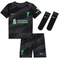 NIKE 2023-2024 Liverpool Home Goalkeeper Infant Baby Kit