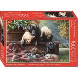 Jigsaw Puzzle - Cozy Moments with Poster - 1000 Piece