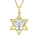 24 in. 14K Two Tone Gold Star of David with Menorah Pendant with 1.4 mm Flat Wheat Chain