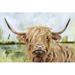 Steelside™ Highland Grazer I by Victoria Borges Painting Print on Canvas Paper in Brown/Gray/Green | 9.75 H x 13.75 W x 0.75 D in | Wayfair