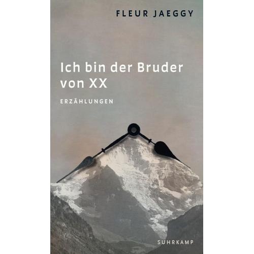 Ich bin der Bruder von XX – Fleur Jaeggy
