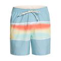 Badeshorts QUIKSILVER "Surfsilk Air-Brush 17"" Gr. M, US-Größen, blau (sky blue) Herren Badehosen Badeshorts