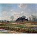 Tulip Field Sassenheim Poster Print by Vincent Van Gogh - 11 x 14 - Small
