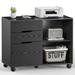 Inbox Zero Lonnita 15.74" Wide 3 -Drawer Mobile File Cabinet Wood in Black | 24.56 H x 15.74 W x 31.3 D in | Wayfair