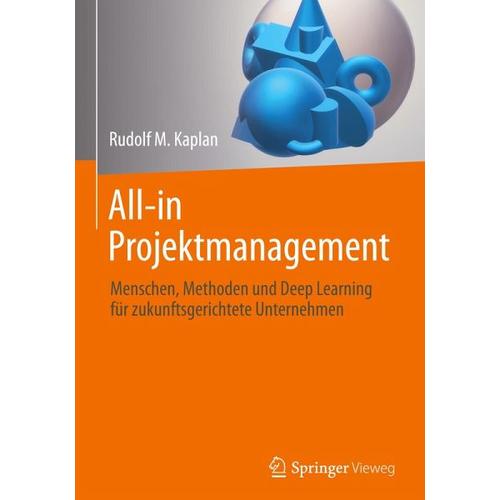 All-in Projektmanagement – Rudolf M. Kaplan