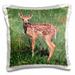 3dRose White-tailed deer fawn - NA02 AJE0321 - Adam Jones Pillow Case 16 by 16-inch