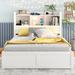 Red Barrel Studio® Jaymiya Full Size Platform Bed w/ Twin Size Trundle, Pull Out Shelves & 2 Drawers Wood in Brown | Wayfair