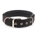 Macho Dog Double-Ply Dog Collar with Roller Buckle Black