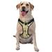 Junzan Gnomes Bees And Sunflowers Pattern Dog Harness - Lightweight Soft Adjustable Small Harness And Leash Set-Large