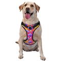Junzan Magic Mushrooms Pattern Dog Harness - Lightweight Soft Adjustable Small Harness And Leash Set-X-Large