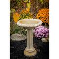 Fancy Column Birdbath