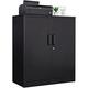 YPZBBOOM 2 Drawer Lateral File Cabinet Metal Cabinet with Drawers Locking File Cabinet with Shelves Metal Cabinets for Letter/Legal/F4/A4 Size Files (Two Drawer Black)