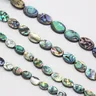 Wholeslae Natürliche Abalone Paua Shell Perlen Elliptische Verstreut Perlen für Schmuck Machen DIY